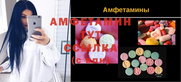 a pvp Каменногорск