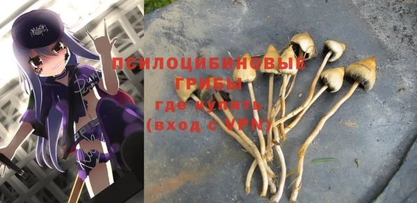 jwh Касимов