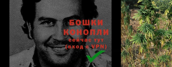 a pvp Каменногорск
