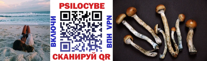 Купить  Кирс  Галлюциногенные грибы мицелий 